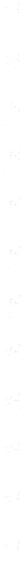 File:Wiki-ItemShinyBand9.png
