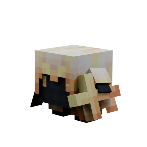 File:Pet-3DLostCleric.png