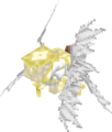 Thumbnail for version as of 18:19, 14 November 2025