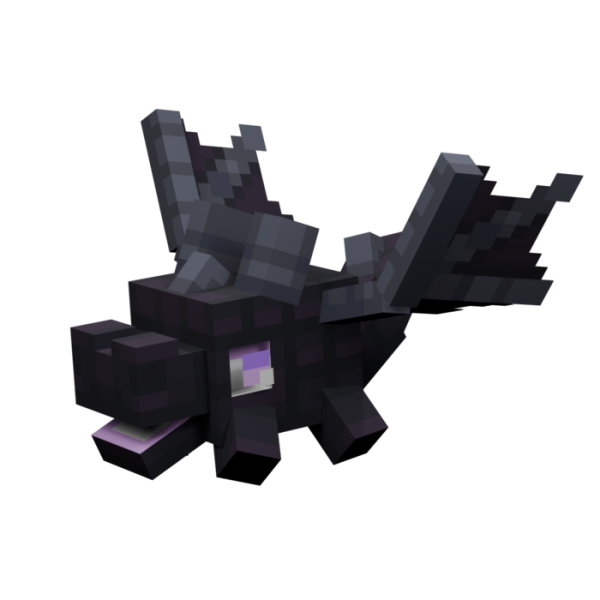 File:PetSkin-3DEndydragon.png